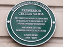 Vajda, Cecilia (id=3495)